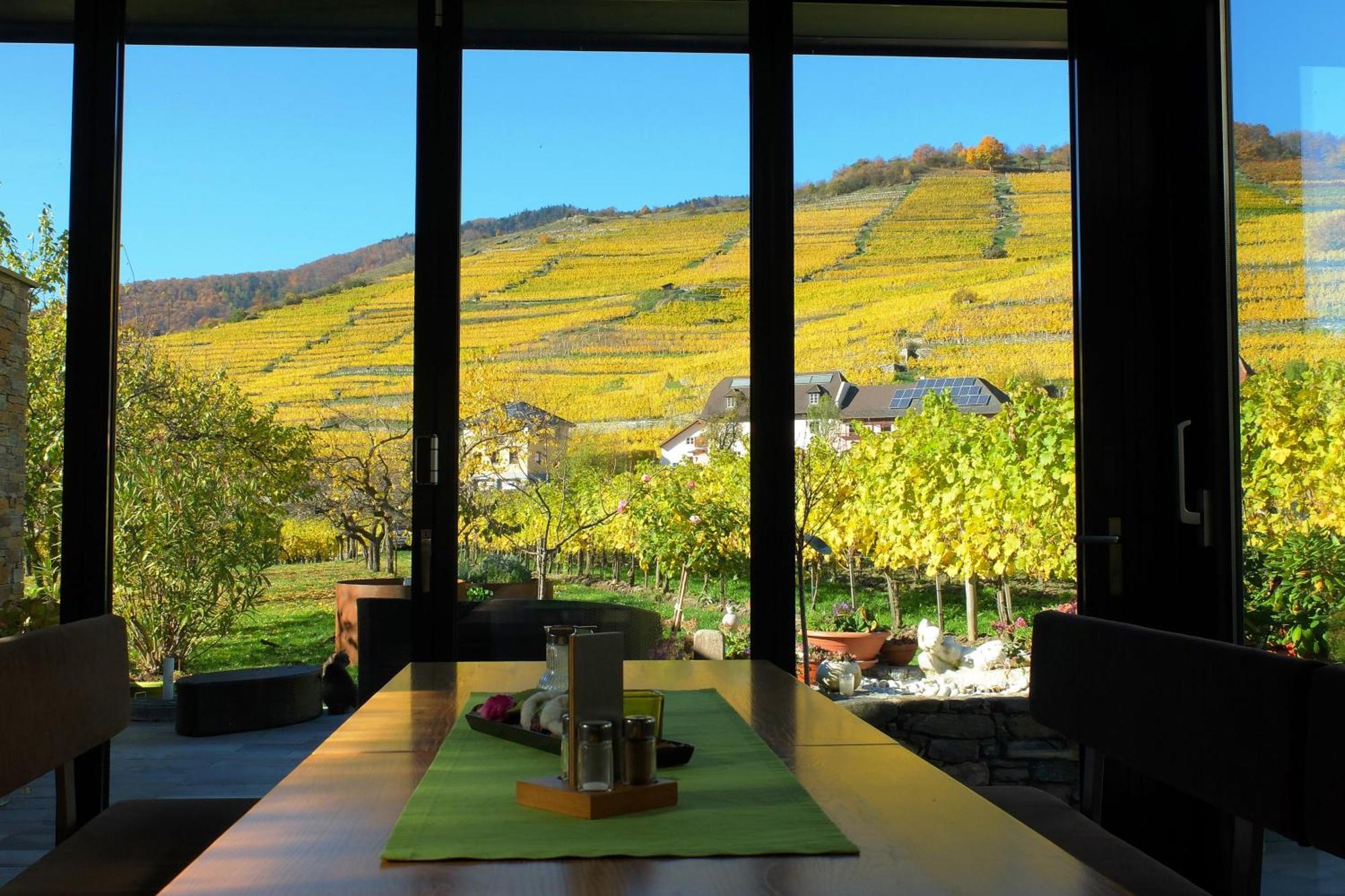 Apartamento Weingut Donabaum "In Der Spitz" Spitz an der Donau Habitación foto