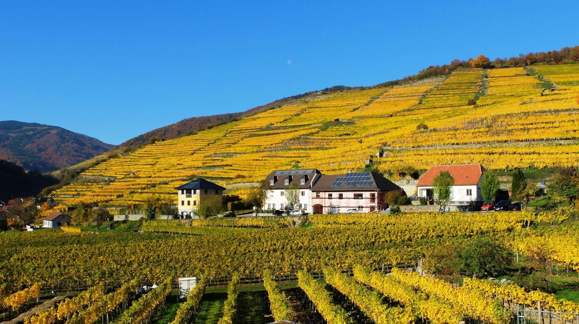 Apartamento Weingut Donabaum "In Der Spitz" Spitz an der Donau Habitación foto