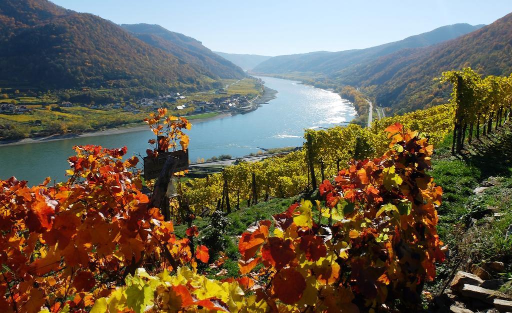 Apartamento Weingut Donabaum "In Der Spitz" Spitz an der Donau Exterior foto