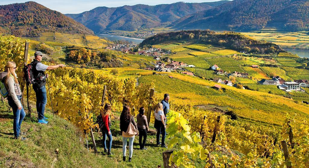 Apartamento Weingut Donabaum "In Der Spitz" Spitz an der Donau Exterior foto