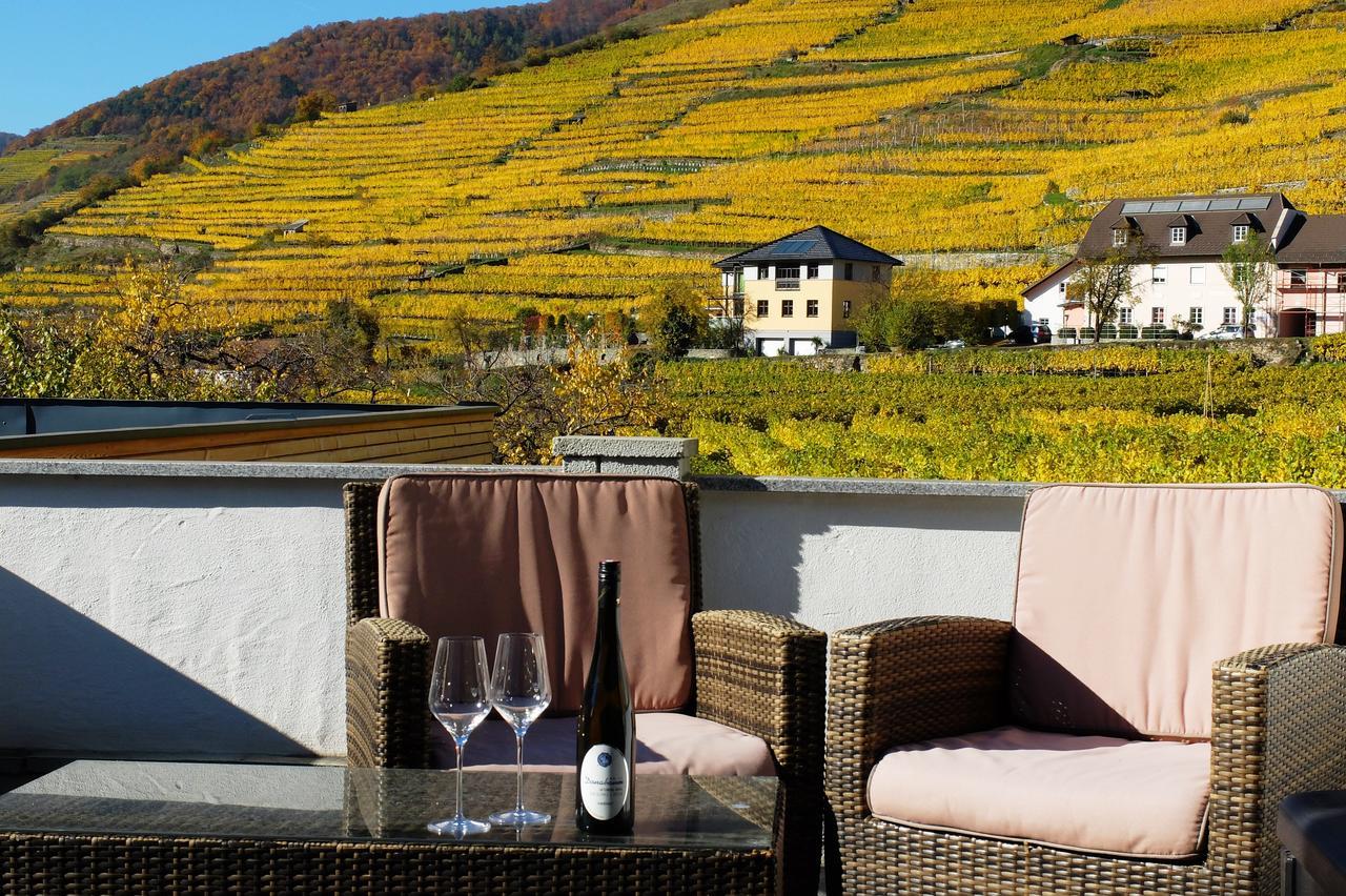 Apartamento Weingut Donabaum "In Der Spitz" Spitz an der Donau Exterior foto